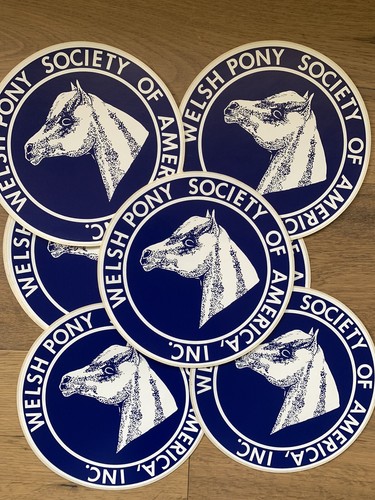 Adesivo vintage welsh pony - vintage,