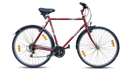 Bici ibrida vintage - bici,