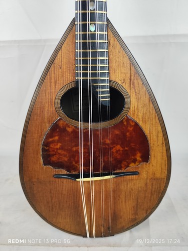 Very rare mandolino - mandolino, da