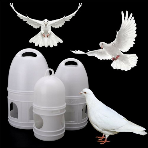 Dispenser acqua colomba