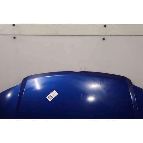 Cofano ant fiat - ant.,