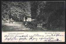 Cartolina Camaldoli