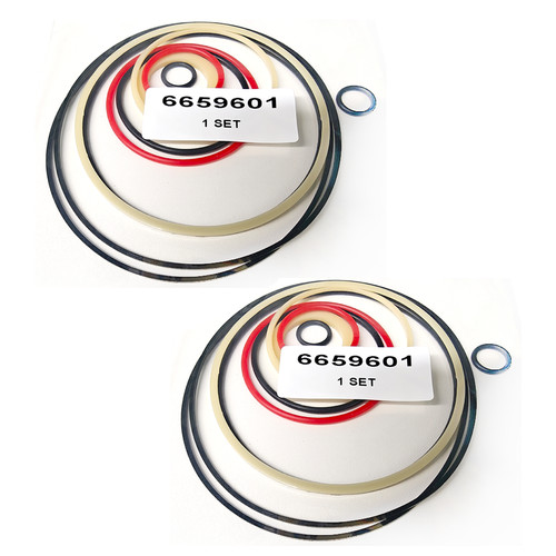 Set 6659601 kit guarnizioni - 2,