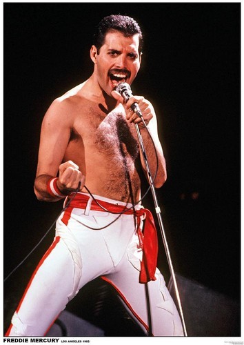Queen poster freddie mercury - queen,