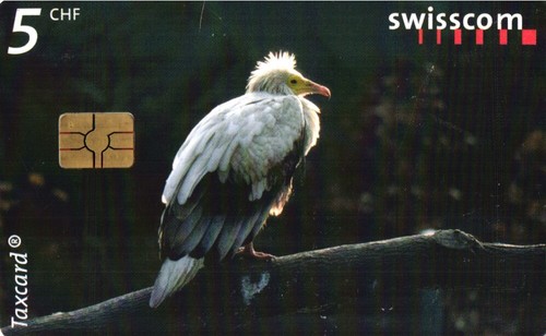 955 scheda telefonica - scheda,