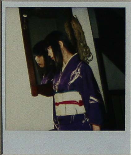 Araki nobuyoshi polaroid - araki,