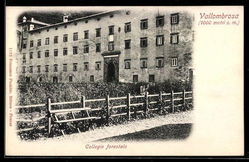 Cartolina vallombrosa - cartolina,