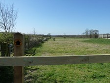 Photo A3 West along the Sussex