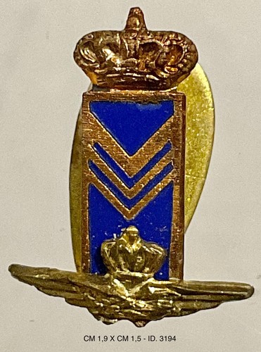 Regia aeronautica distintivo - regia,