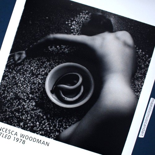 Poster mostra boscaiolo - poster,