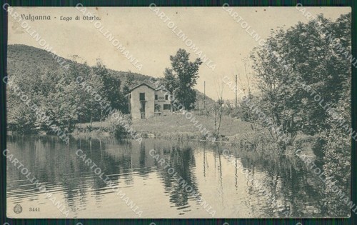 Varese ghirla scollata - varese,