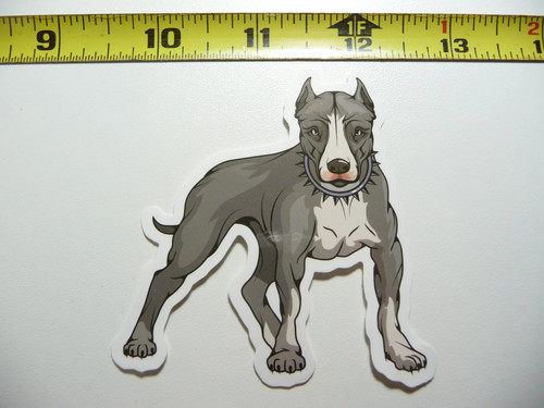 Pitbull collare - pitbull,