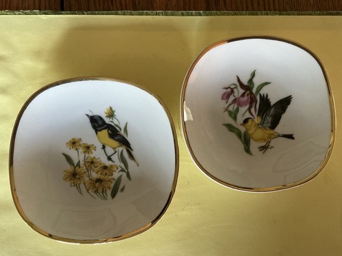Set piatti porcellana - set,