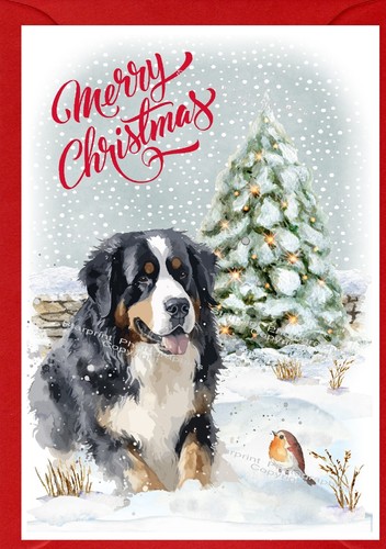 Biglietto natale bernese - natale,