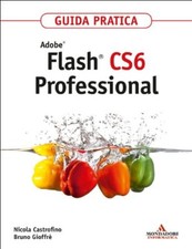 Adobe Flash CS6 Professional