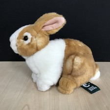 Living Nature Coniglio