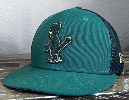 Angry birdz - , birdz“