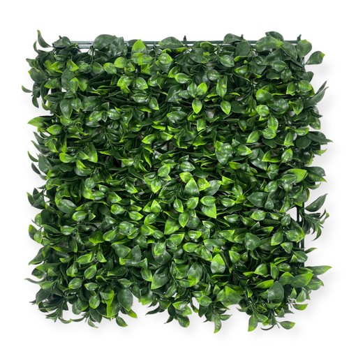 Siepe decorativa parete - siepe,