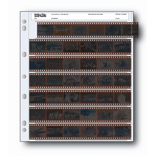 20x file stampa archivio - 20x, di