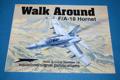 Hornet walk around - walk,