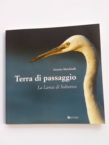 Marchitelli terra di - marchitelli,