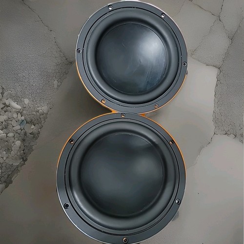 Altoparlante oem 22cm - oem, 4ohm