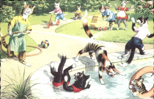 Fantasia animali vestiti gatti - fantasia,