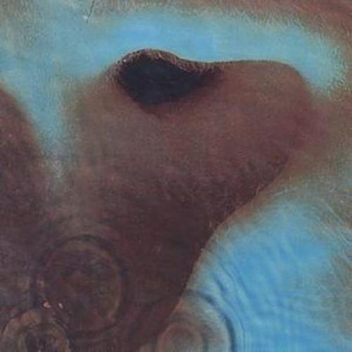 Pink floyd meddle album - floyd,