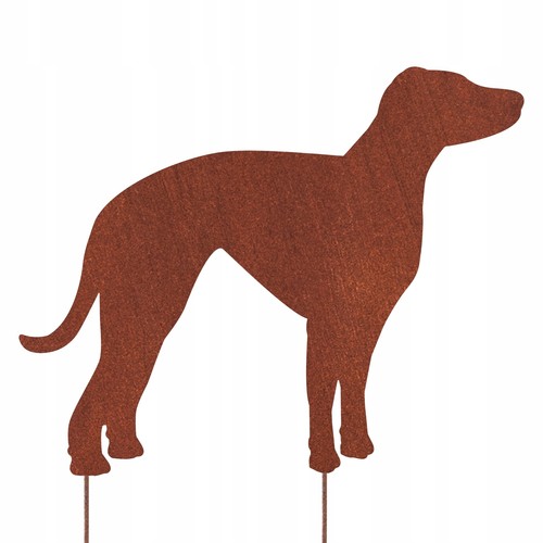 Levriero whippet figura - figura, di