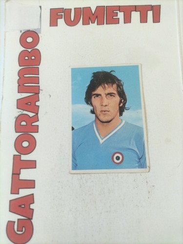 Figurine calciatori 207 - figurine,