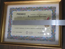 diploma e medaglia in metallo colore oro PREMIO MAMMA DELL ANNO 1979 di Salerno