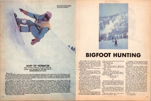 Snowboard shaun palmer - snowboard,
