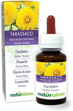 Tarassaco (Taraxacum