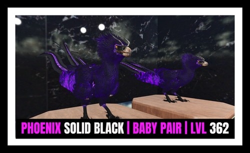 Ark survival ascended pve - ark,