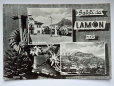 LAMON saluti stella alpina