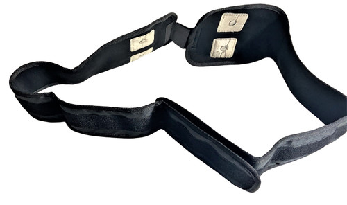 Muscolo stimolatore - muscolo,