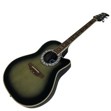 Chitarra elettrica acustica