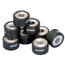 KIT 8 RULLI VARIATORE 25X15