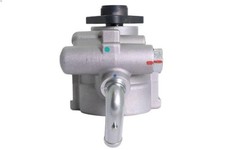 Hydraulic pump, steering