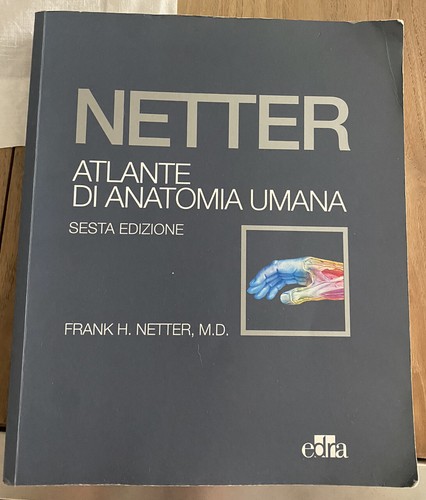 Netter atlante anatomia - di,