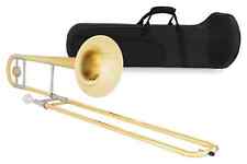 Trombone Brass Sib Tenore con Custodia Astuccio Bocchino Panno Pulizia Argento