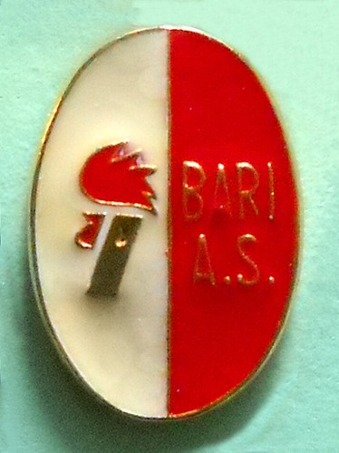 Distintivo spilla pin badge - distintivo,