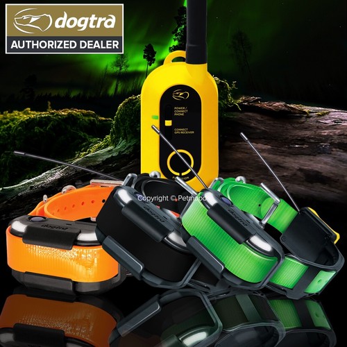 Dogtra pathfinder2 collari - dogtra,