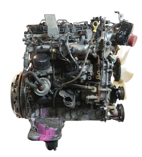 Motore per nissan navara d40 - per,