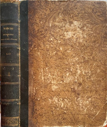 Dizionario