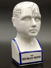 THE HUMAN MIND MORUZZI COMUNICATION MADE IN ITALY TESTA FRENOLOGIA CERAMICA