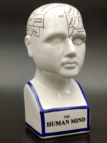 The human mind moruzzi - human,