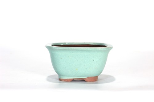 Vaso bonsai rettangolare cm - vaso,