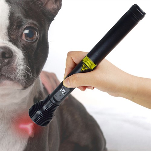 Laserterapia luce 1000mw - a,