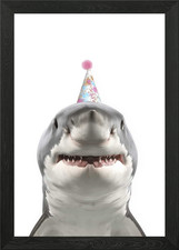 Grande squalo bianco con